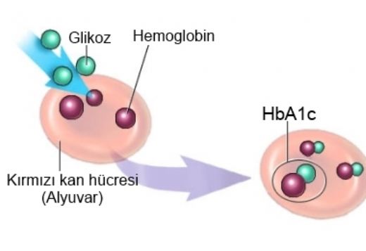 glikozile hemoglobin hb a1c 89