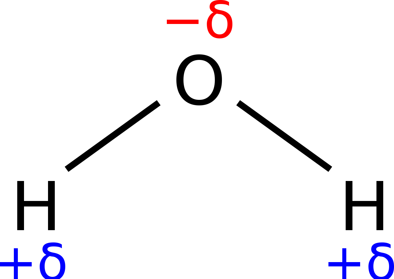 h2o polar or nonpolar