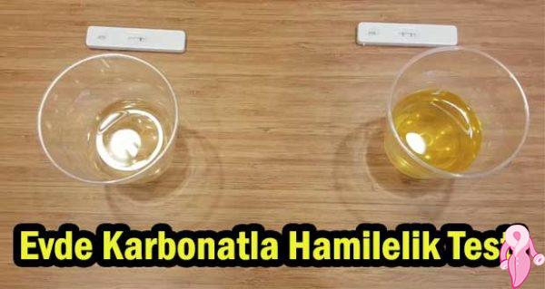 karbonatla hamilelik testi gebelik