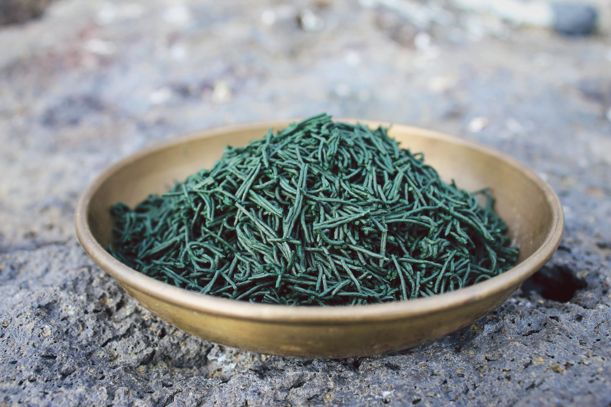 spirulina 1