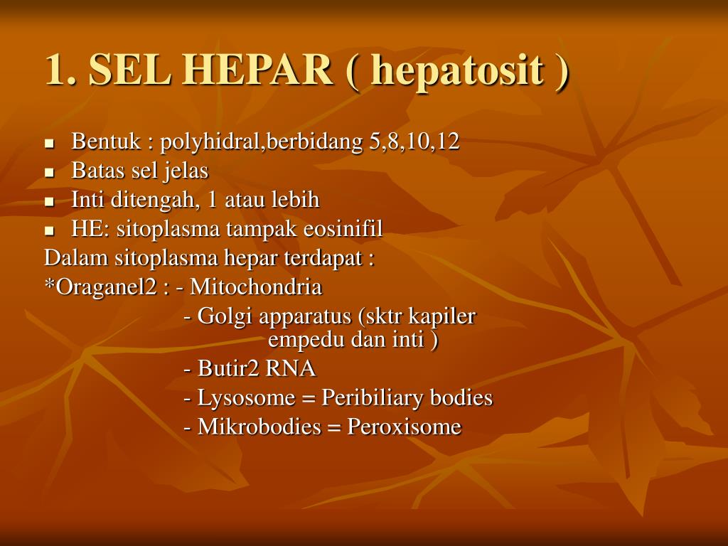 1 sel hepar hepatosit l